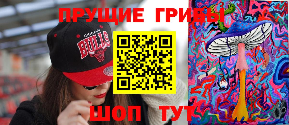 Псилоцибиновые грибы мицелий Арзамас