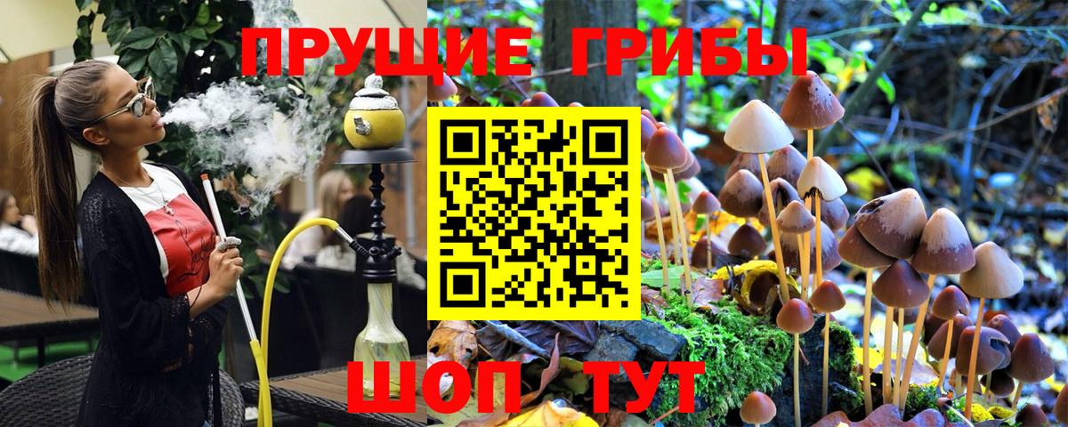 Арзамас  Псилоцибиновые грибы Cubensis  магазин продажи наркотиков  Вход с VPN 